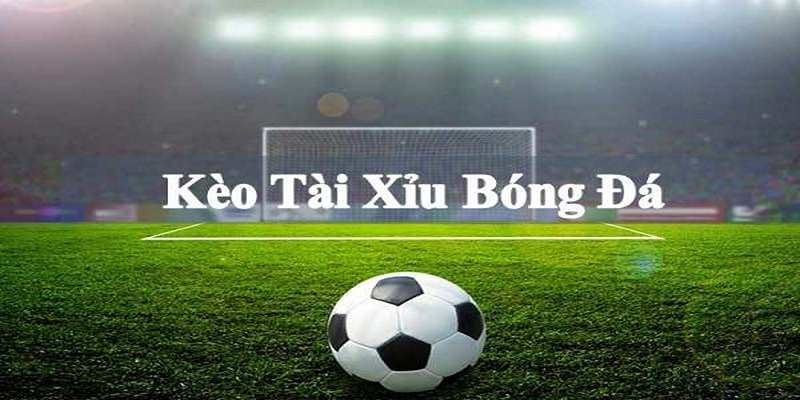 Bet thủ chú ý phân tích phong độ hai đội
