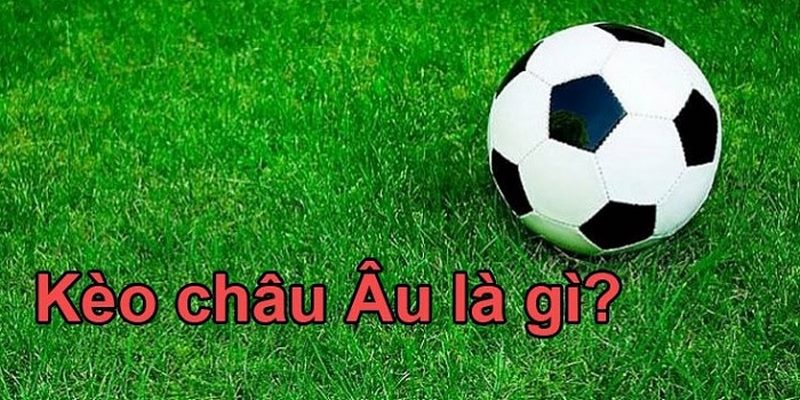Hiểu rõ tỷ lệ kèm xác suất khi cá cược