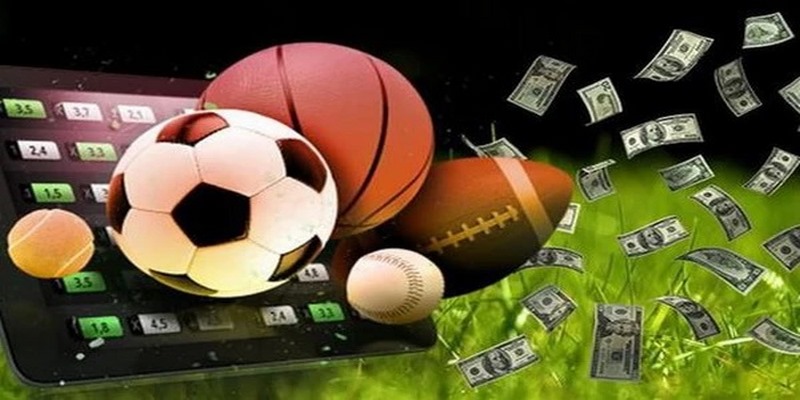 Nắm bắt dữ liệu thống kê đầy đủ, đảm bảo chính xác nhất