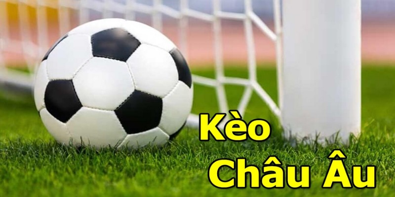 Tìm hiểu chi tiết về khái niệm tỷ lệ