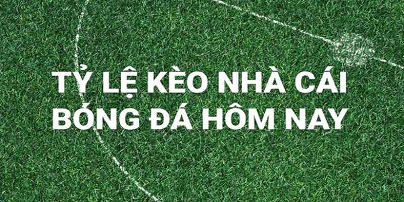 Tỷ lệ kèo bóng đá K9K9