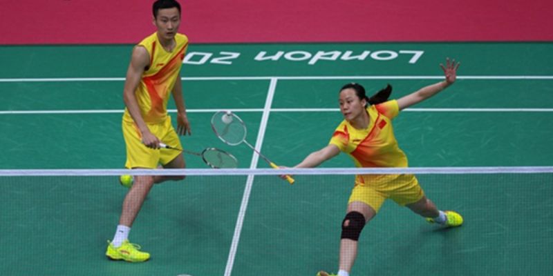 Lý do cá cược cầu lông K9K9 được nhiều người yêu thích